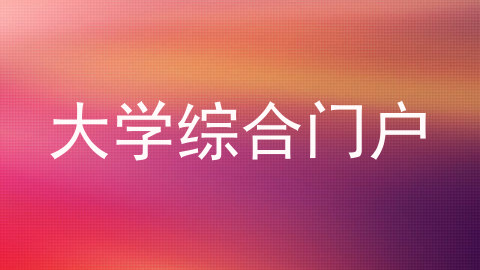 大学综合门户