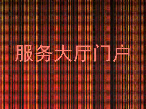 服务大厅门户