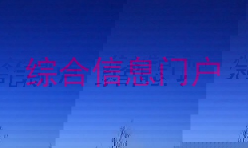 综合信息门户
