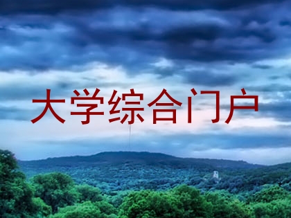 大学综合门户