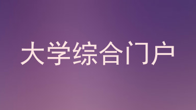 大学综合门户