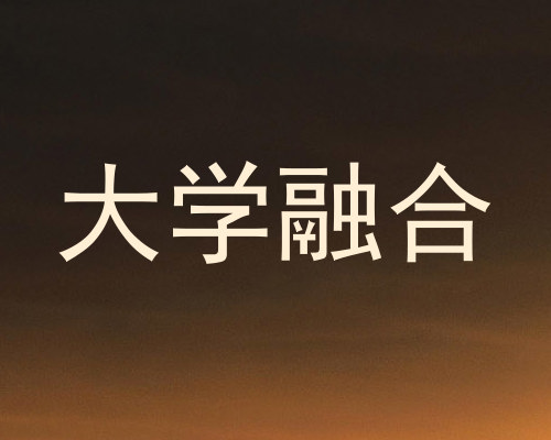 大学融合