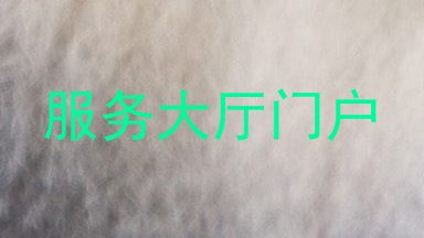 服务大厅门户