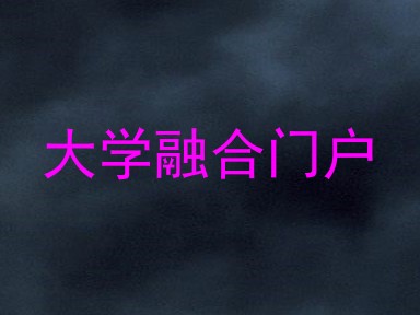 大学融合门户