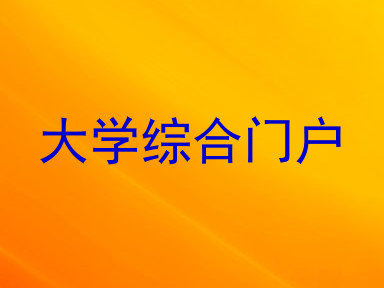 大学综合门户