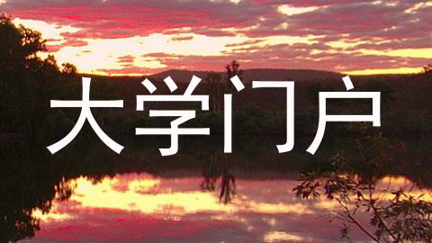 大学门户