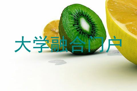 大学融合门户