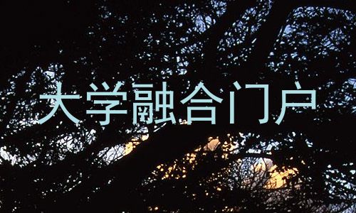 大学融合门户