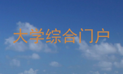 大学综合门户