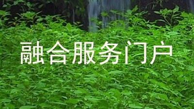 融合服务门户