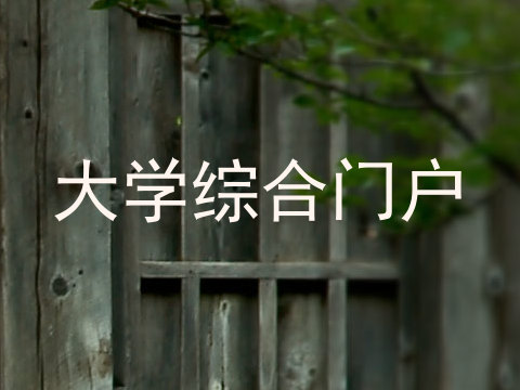 大学综合门户