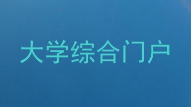 大学综合门户