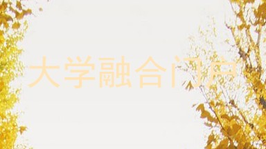 大学融合门户