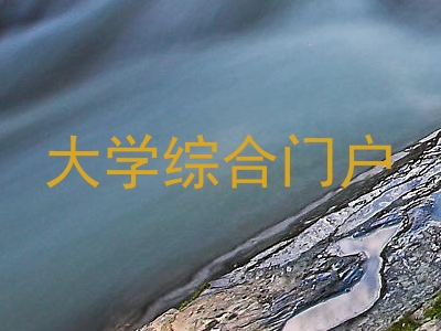 大学综合门户