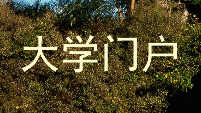 大学门户