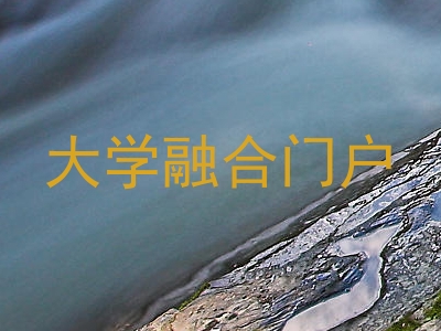 大学融合门户