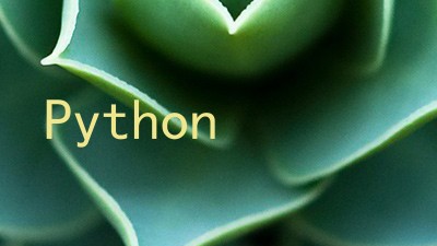 Python