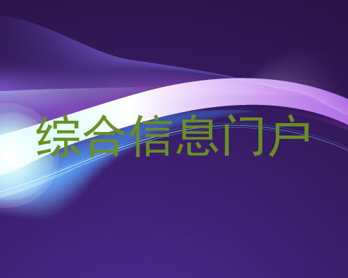 综合信息门户