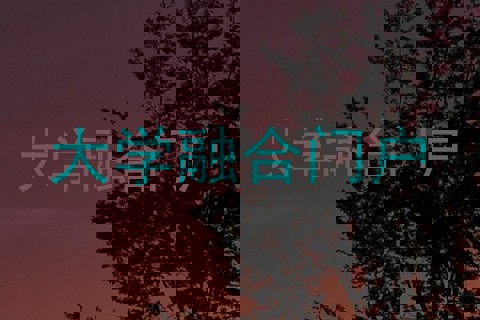 大学融合门户