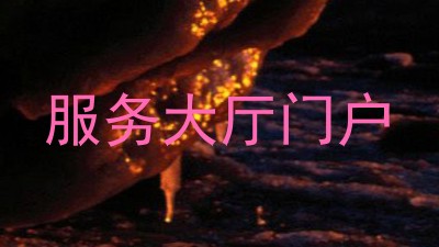 服务大厅门户