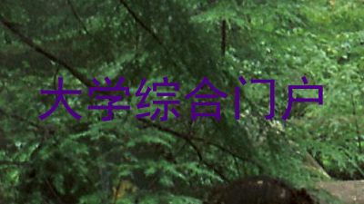 大学综合门户