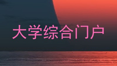 大学综合门户