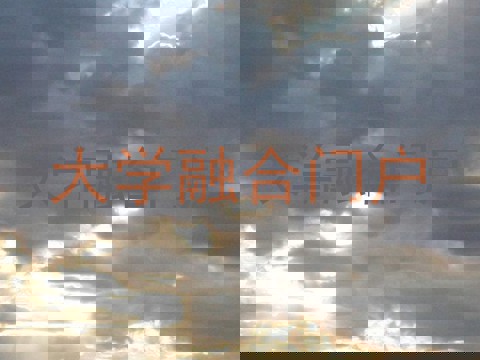 大学融合门户