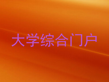 大学综合门户