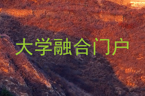 大学融合门户