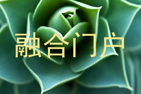 融合门户