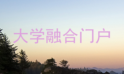大学融合门户
