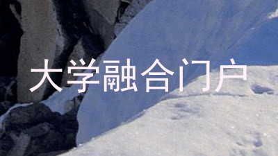 大学融合门户