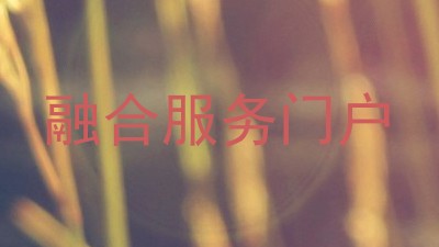 融合服务门户
