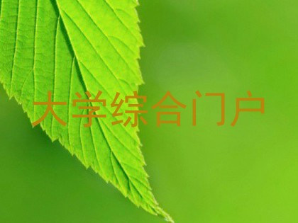 大学综合门户