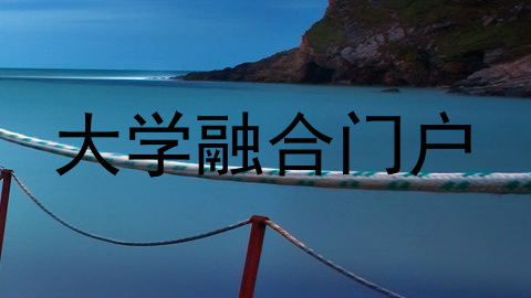 大学融合门户