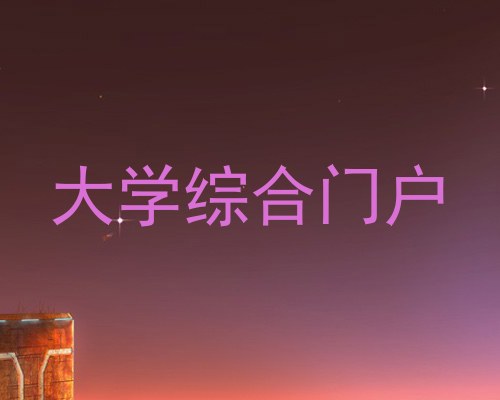 大学综合门户
