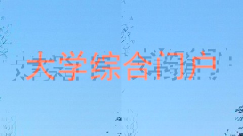 大学综合门户