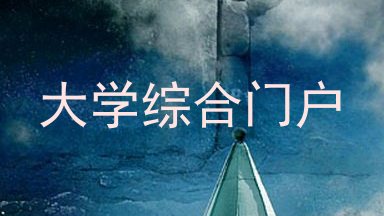 大学综合门户