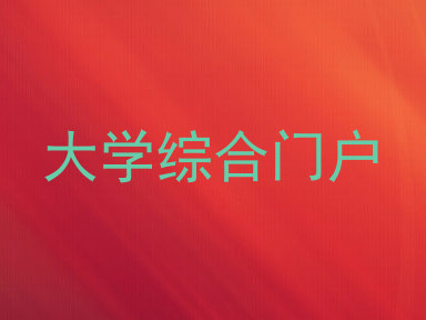 大学综合门户
