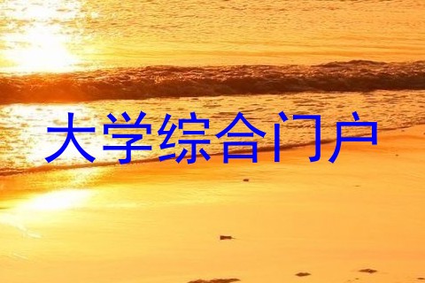 大学综合门户
