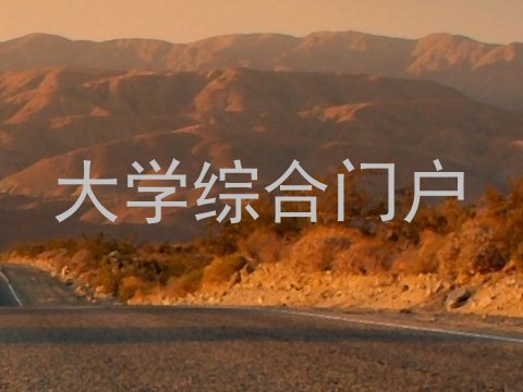 大学综合门户