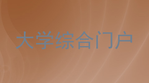 大学综合门户