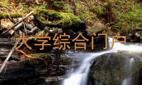 大学综合门户