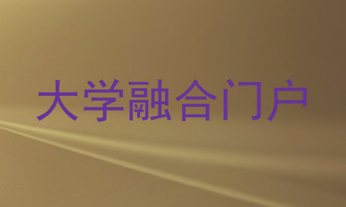 大学融合门户