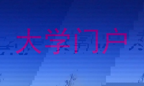 大学门户