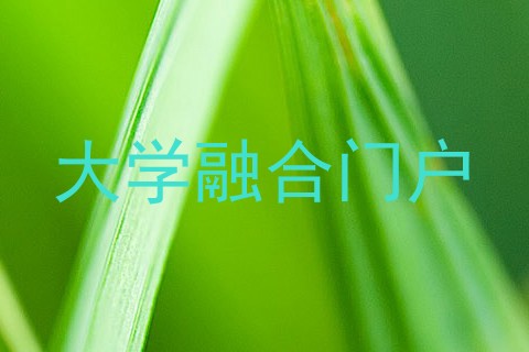 大学融合门户
