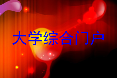 大学综合门户