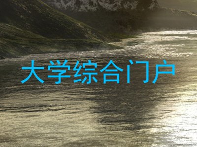 大学综合门户
