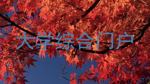 大学综合门户