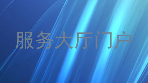服务大厅门户